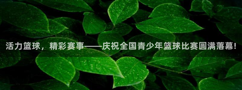 活力篮球，精彩赛事——庆祝全国青少年篮球比赛圆满落幕!