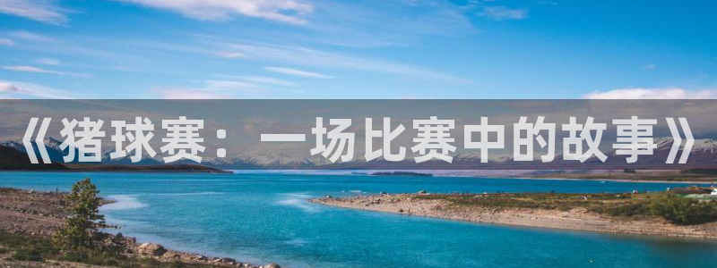 《猪球赛：一场比赛中的故事》