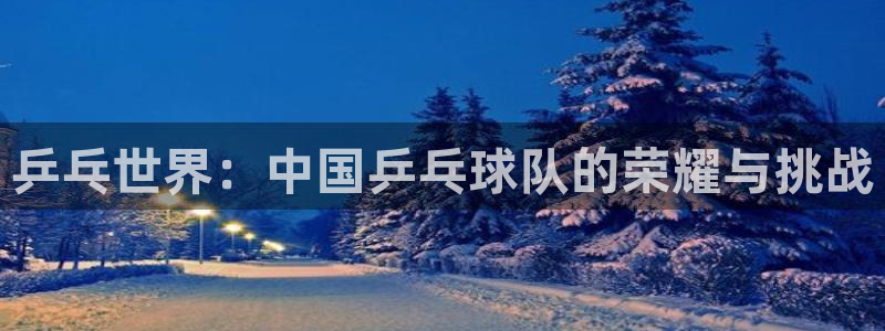 乒乓世界：中国乒乓球队的荣耀与挑战