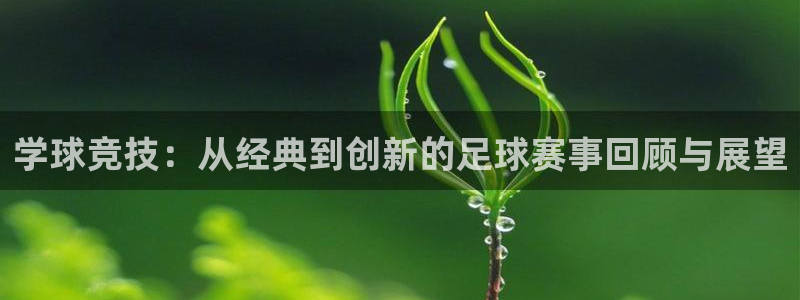  678体育赛事直播：学球竞技：从经典到创新的足球赛事回顾与展