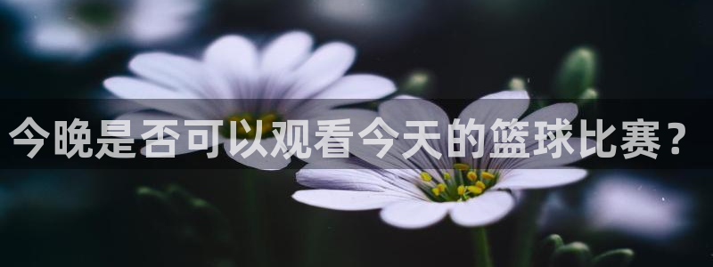 678体育平台里的钱包：今晚是否可以观看今天的篮球比赛？