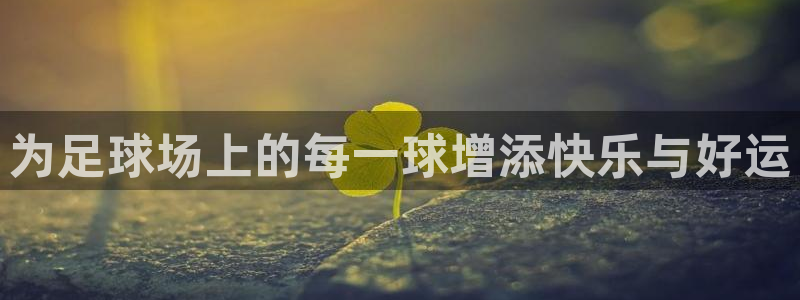 678体育软件怎么样：为足球场上的每一球增添快乐与好运