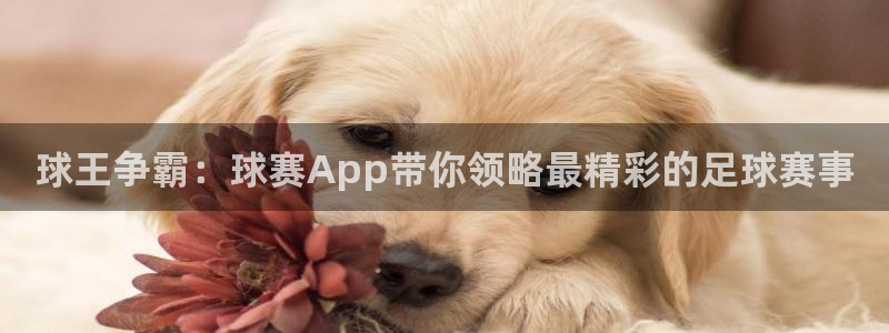  678体育学基础综合包括什么：球王争霸：球赛App带你领略最