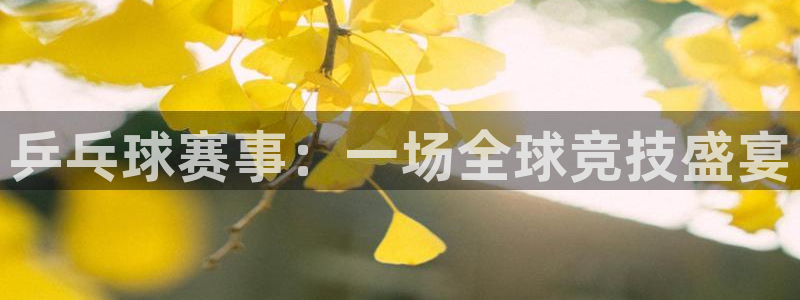  678体育app官网下载最新版本更新内容：乒乓球赛事：一场全