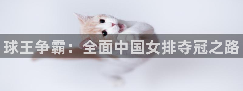  678体育网站被叔叔查了：球王争霸：全面中国女排夺冠之路