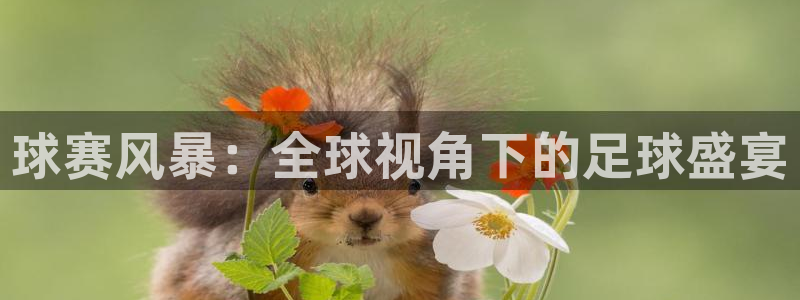 678体育平台改名叫什么了：球赛风暴：全球视角下的足球盛宴