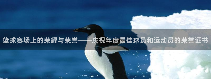 678体育app：篮球赛场上的荣耀与荣誉——庆祝年度最佳球员