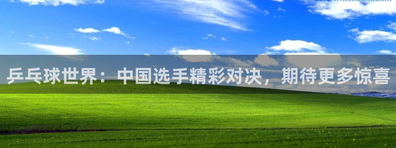 678体育换成什么了：乒乓球世界：中国选手精彩对决，期待更多
