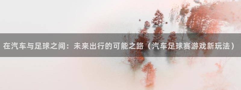 678体育：在汽车与足球之间：未来出行的可能之路（汽车足球赛