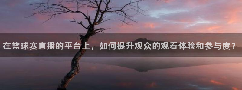 678体育停止服务公告：在篮球赛直播的平台上，如何提升观众的